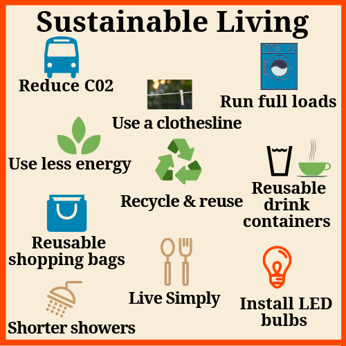 Sustainable Living On A Budget: Tips And Tricks - Your Money Today